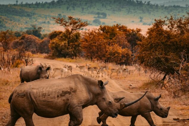 3-Day Hell's Gate Cycling & Lake Naivasha Safari