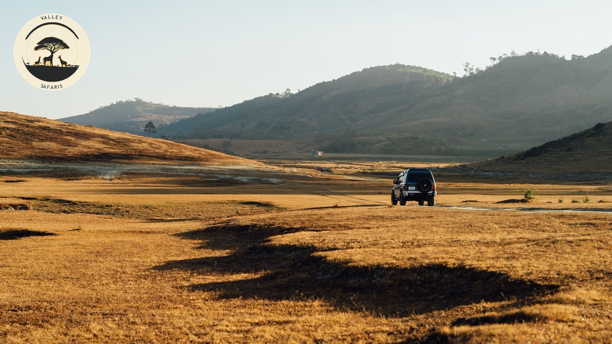 4x4 Rental Companies Self Drive: Best Kenya Safari Picks