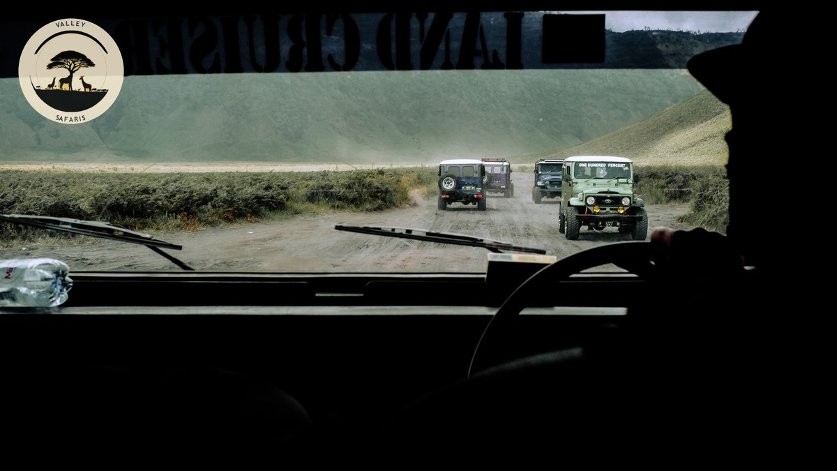4x4 Rental Companies Self Drive: Best Kenya Safari Picks - photo 1