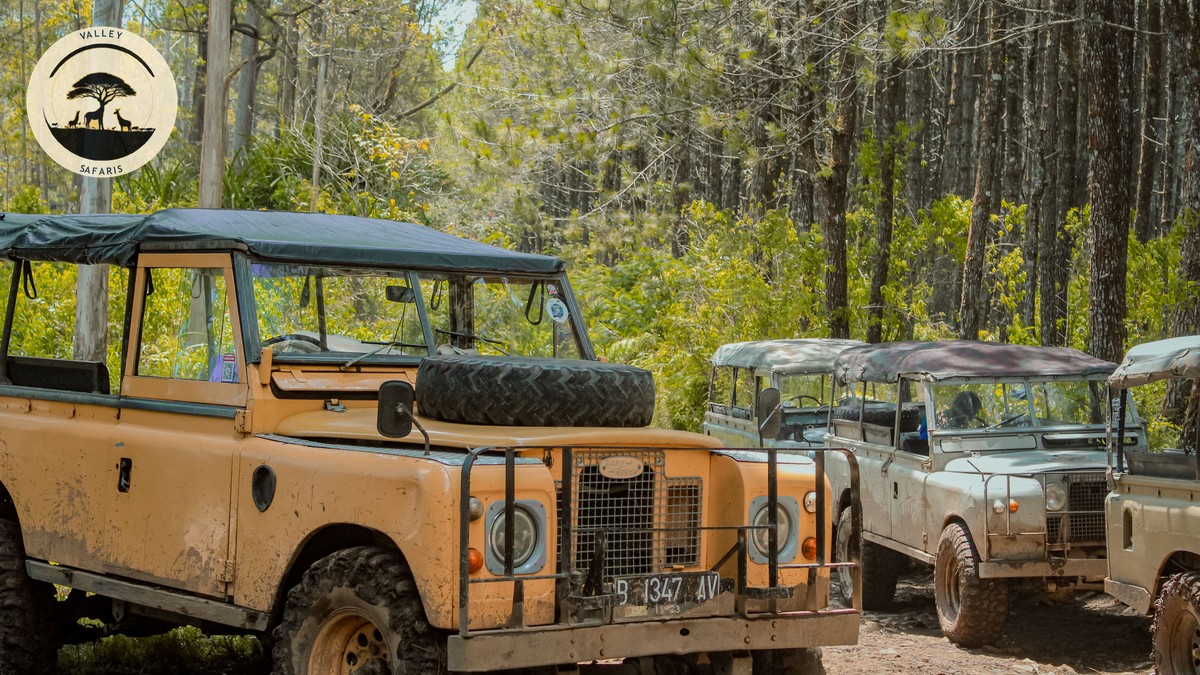 4x4 Rental Companies Self Drive: Best Kenya Safari Picks - photo 2