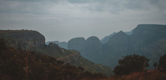 Aberdare National Park