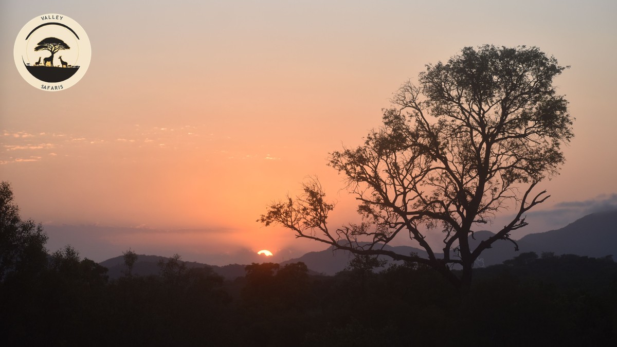 Anti-Poaching Ranger Day Experience: Kenya Safari Guide - photo 1