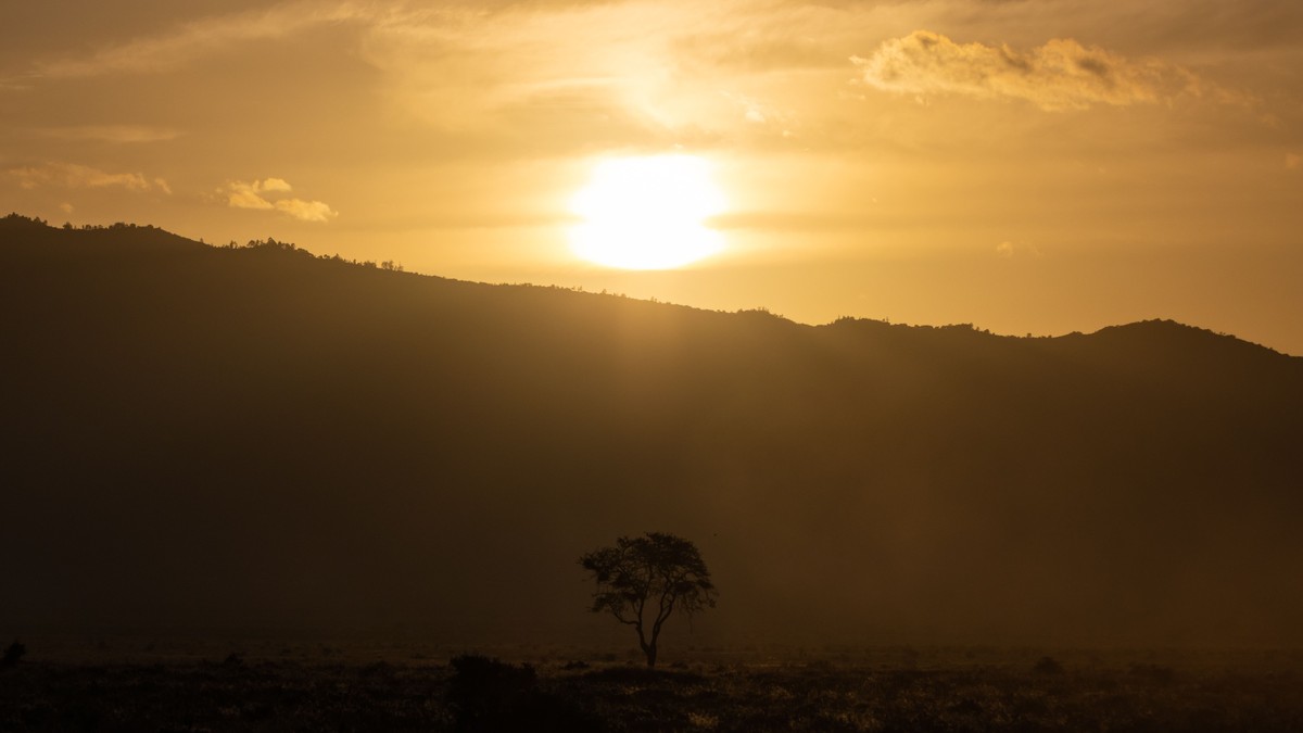 Backpacker Safari Kenya No Operator: Is It Worth It? - photo 1