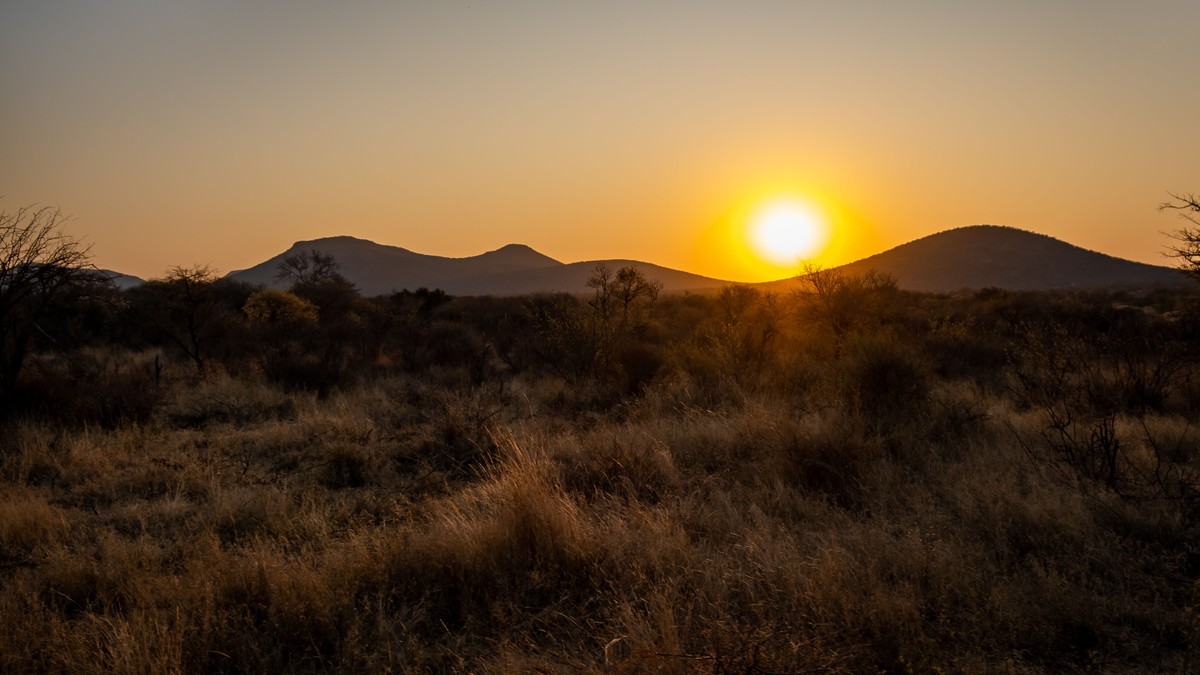 The Best Binoculars for Kenya Safari Trips - photo 1