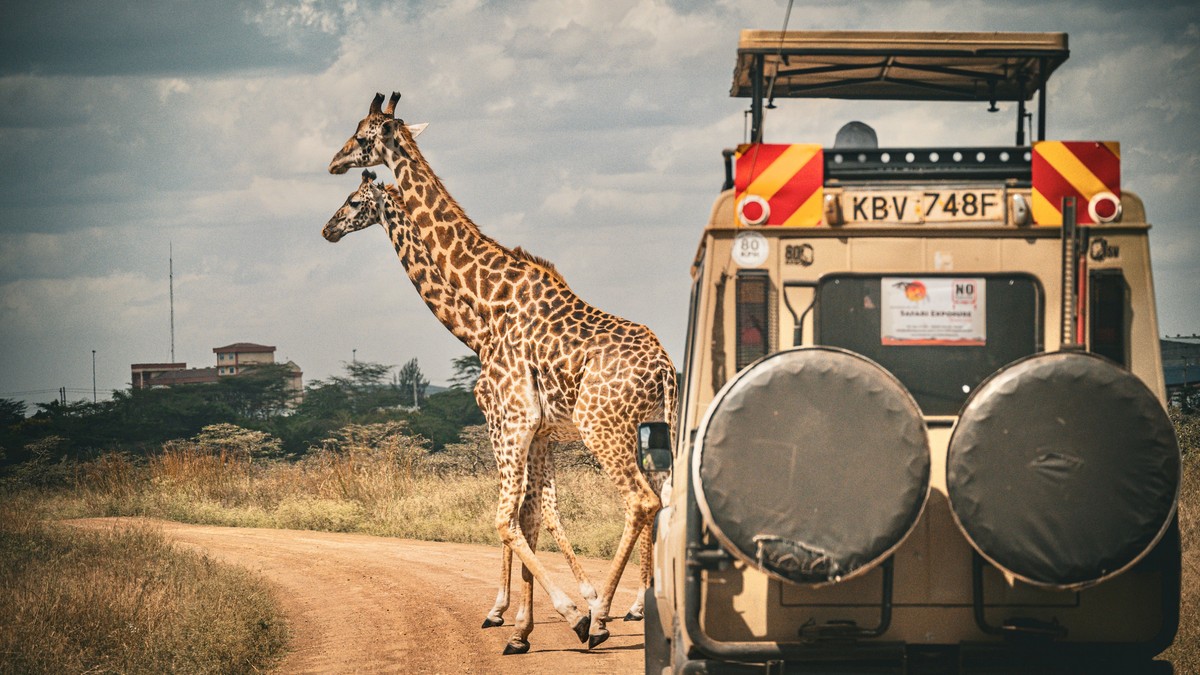 Best Camera Lens for a Kenya Safari: A Packing Guide - photo 2