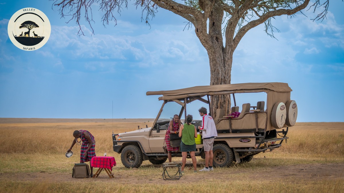 Best Daypack for Safari Game Drives in Kenya - photo 2