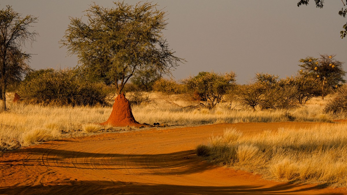 Best Insect Repellent Sunscreen for a Kenya Safari - photo 1