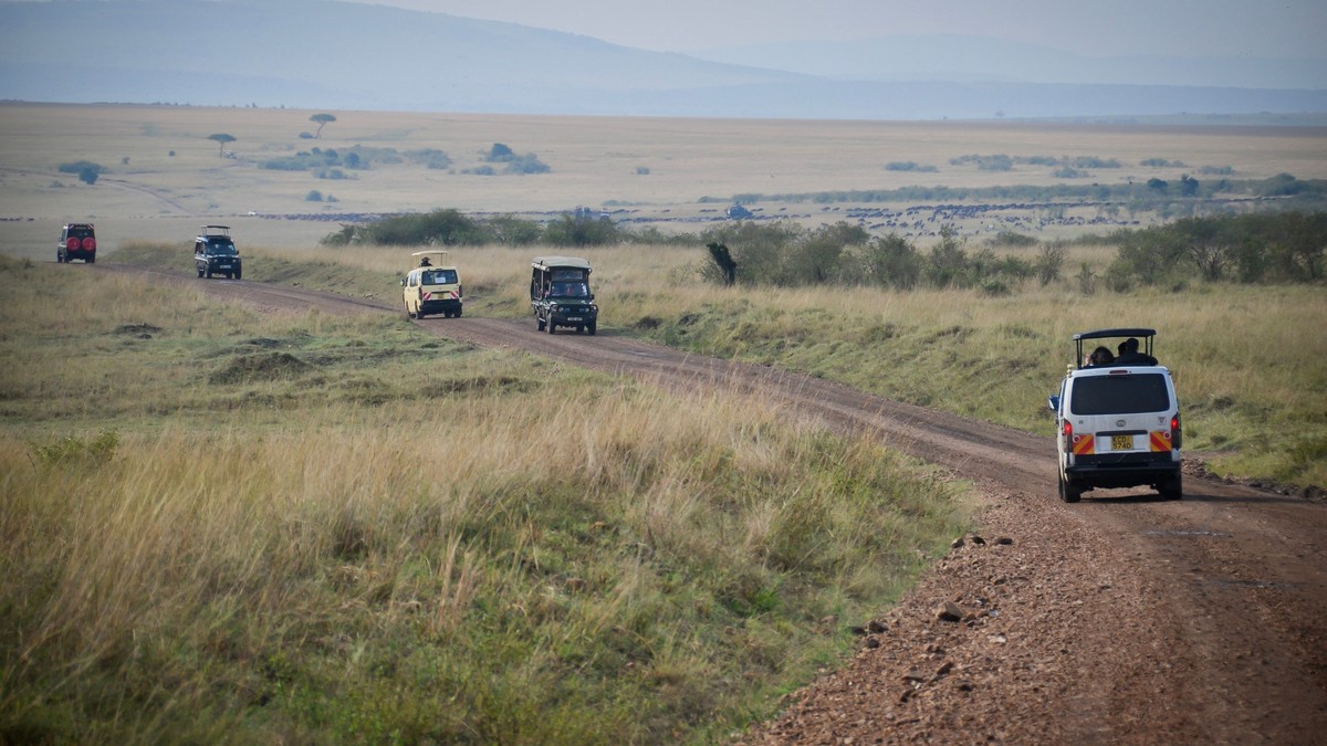 Best Month for Wildlife Photography in Samburu - photo 1