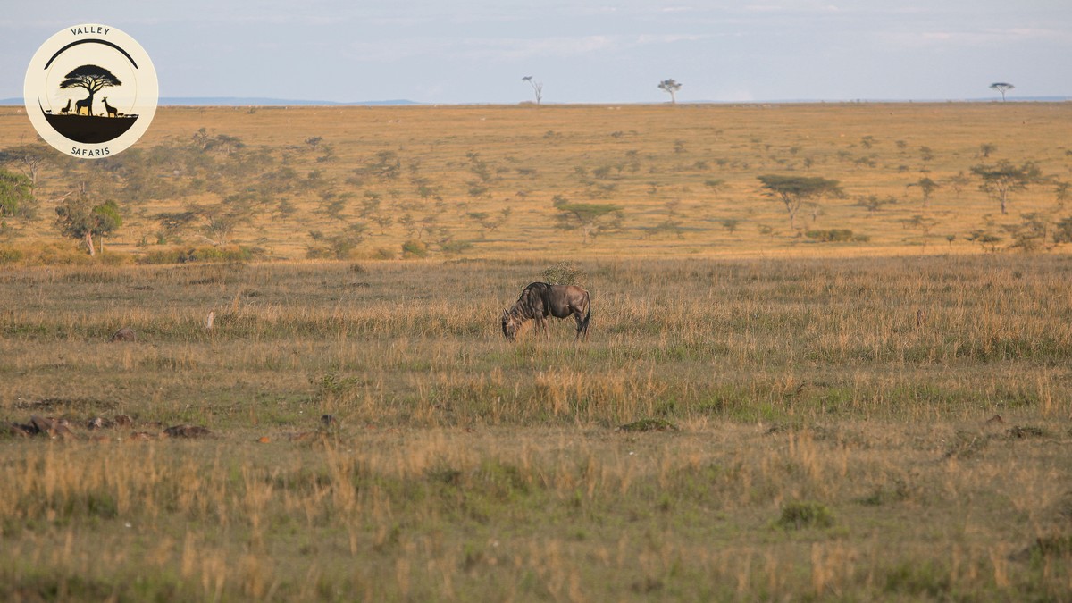 Best Parks for a Second Kenya Safari After the Mara - photo 1