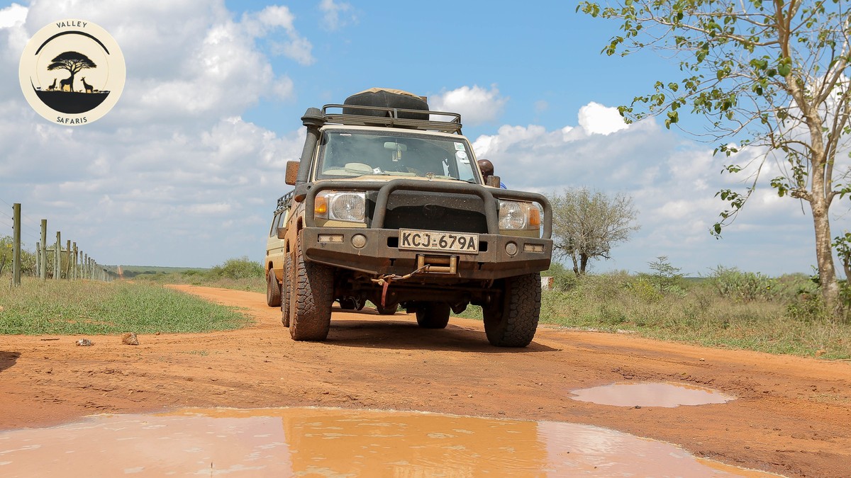 Best Parks for a Second Kenya Safari After the Mara - photo 2