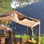 Best Safari Camps in Kenya for Stargazing (2026 Guide)
