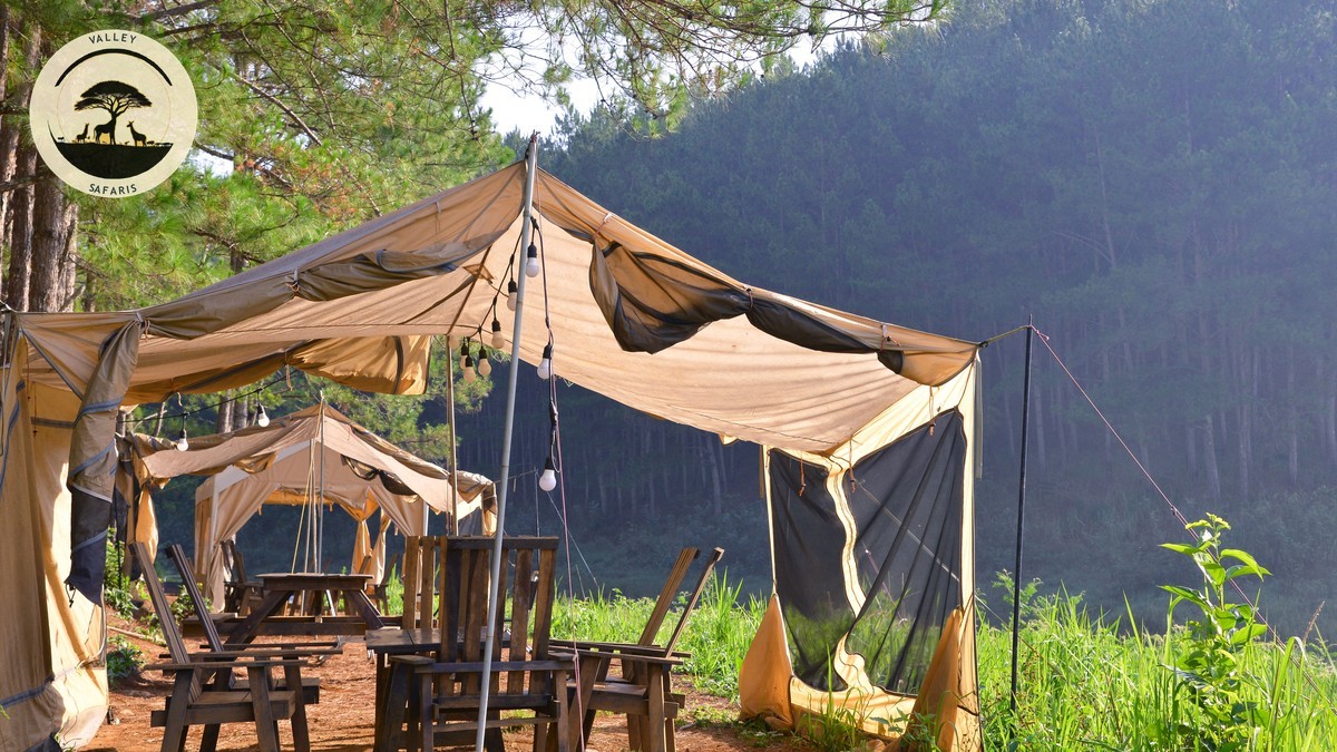 Best Safari Camps in Kenya for Stargazing (2026 Guide)