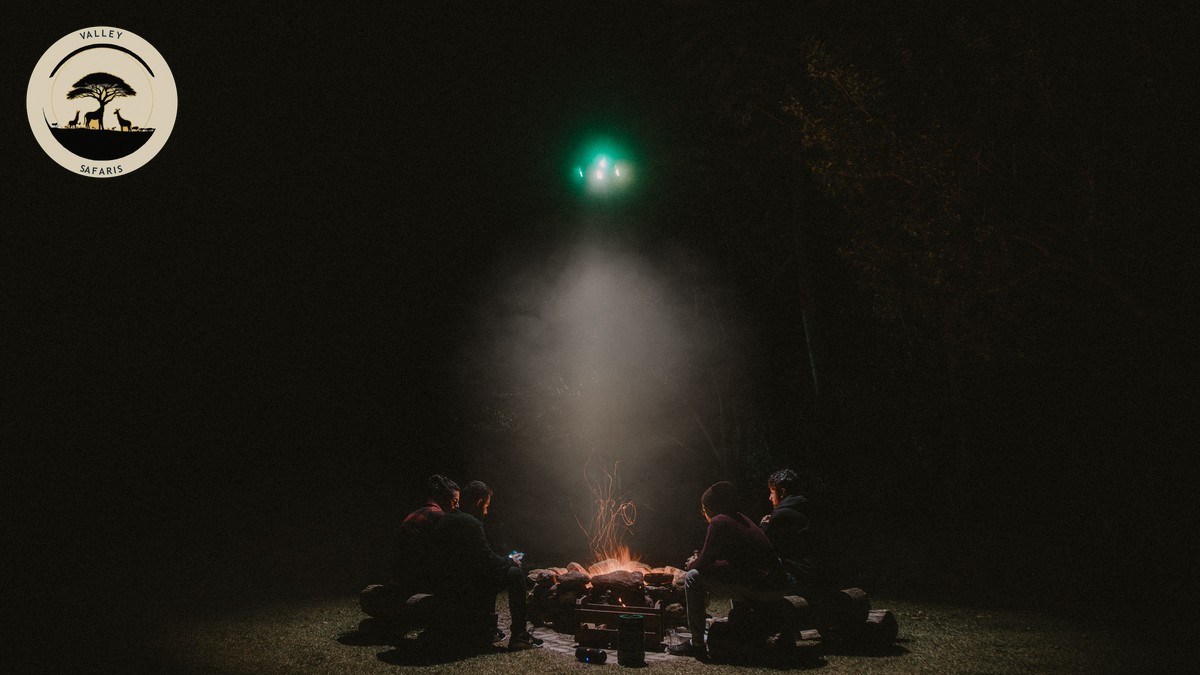 Best Safari Camps in Kenya for Stargazing (2026 Guide) - photo 1
