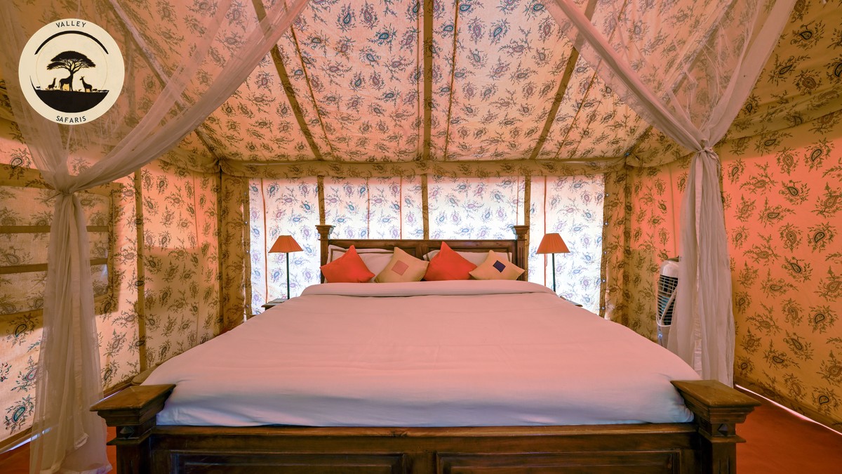 Best Safari Camps in Kenya for Stargazing (2026 Guide) - photo 2