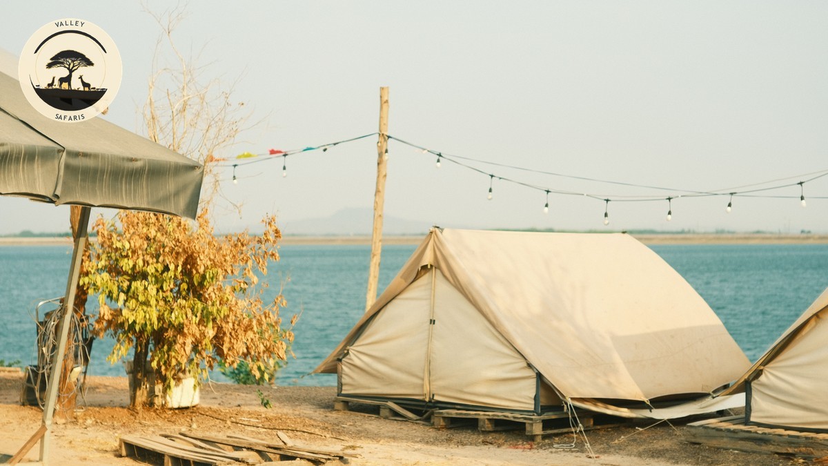 Booking Direct with a Camp vs Safari Operator