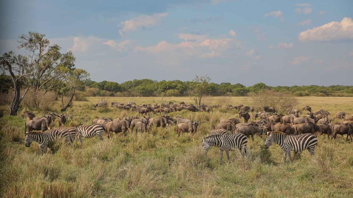 Breastfeeding Baby on a Kenya Safari Trip: Mom's Guide