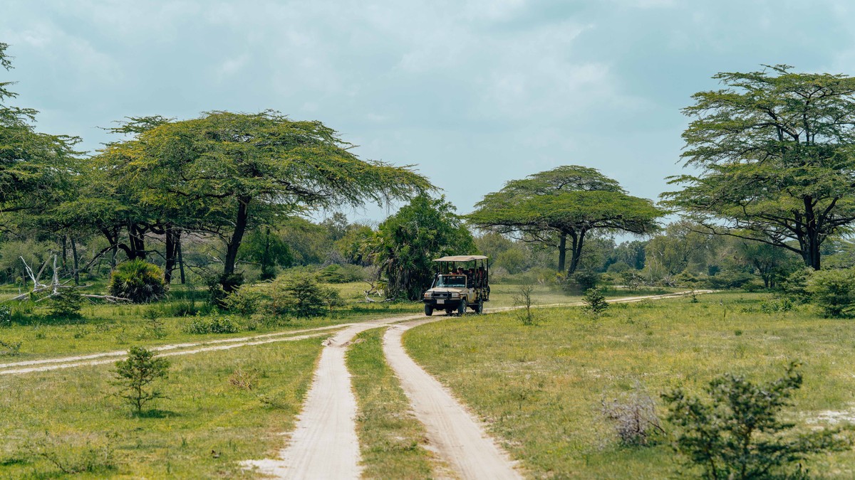 Breastfeeding Baby on a Kenya Safari Trip: Mom's Guide - photo 2