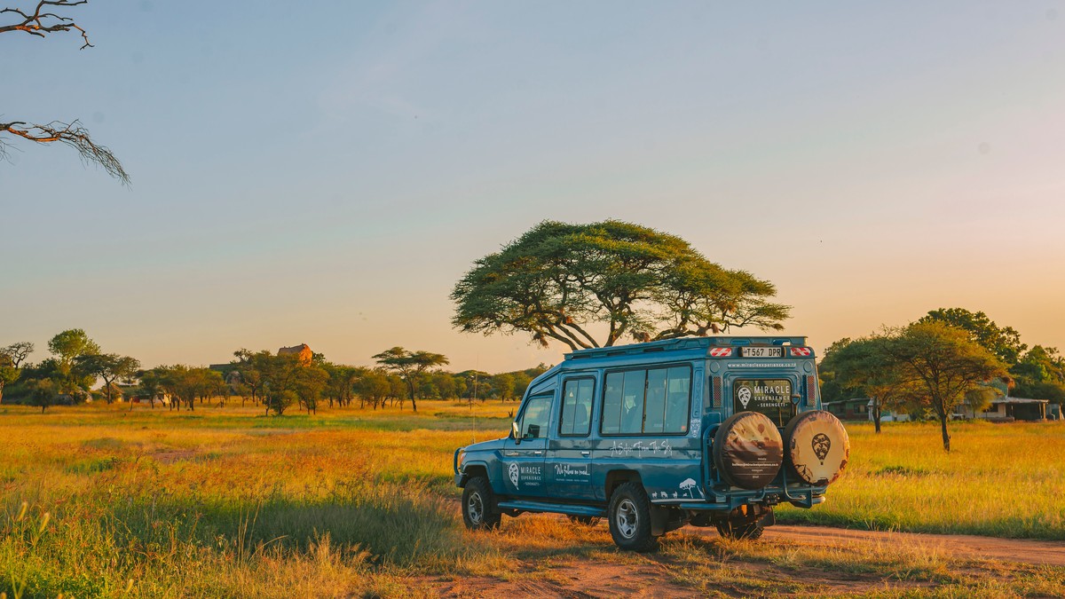Cheapest Kenya Safari Operators Comparison Guide - photo 1