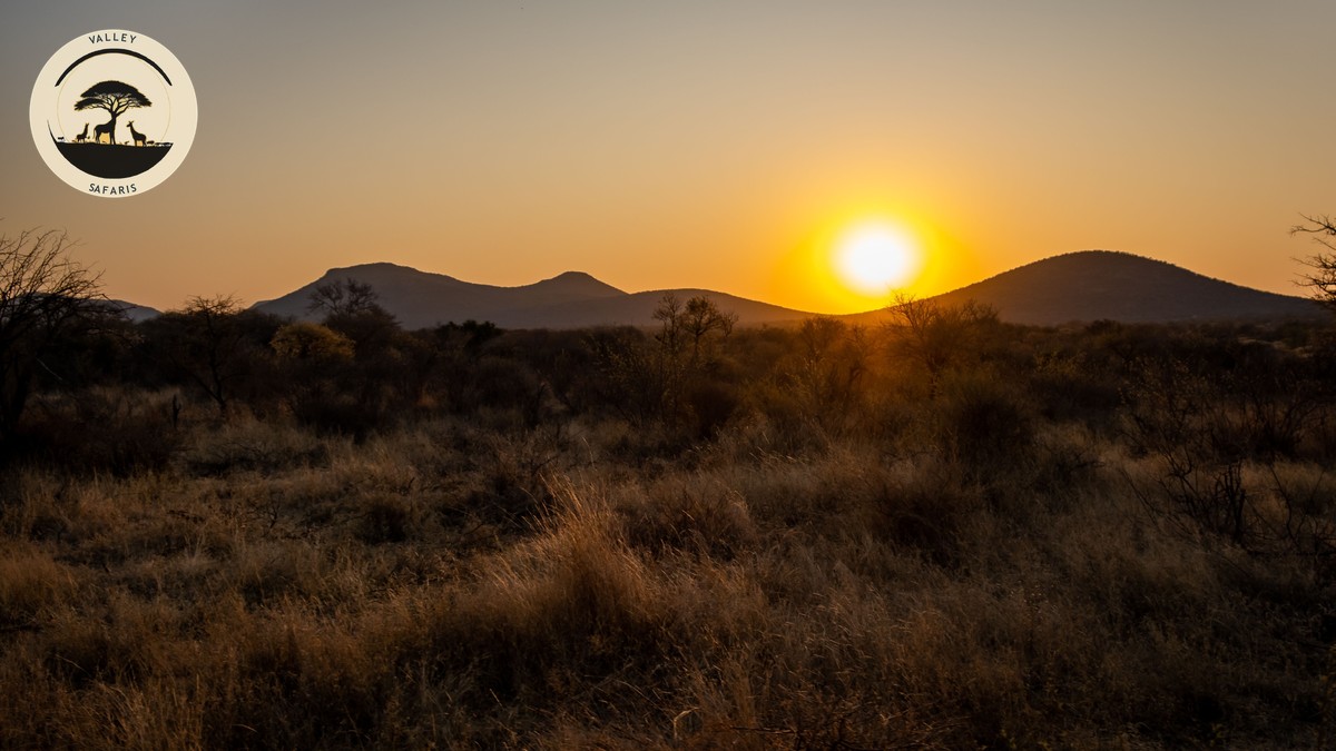 Christmas New Year Safari Pricing in Kenya: Real Costs - photo 1