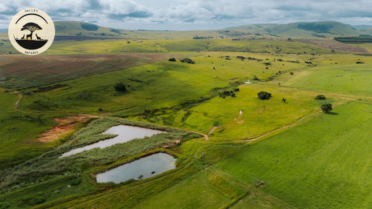 Chyulu Hills National Park Safari Guide 2026 - photo 1