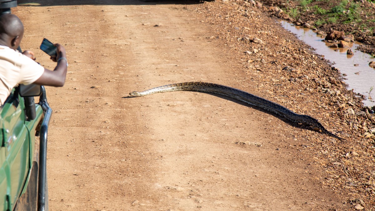 Crater Lake Naivasha Day Trip: Easy Safari Guide - photo 2
