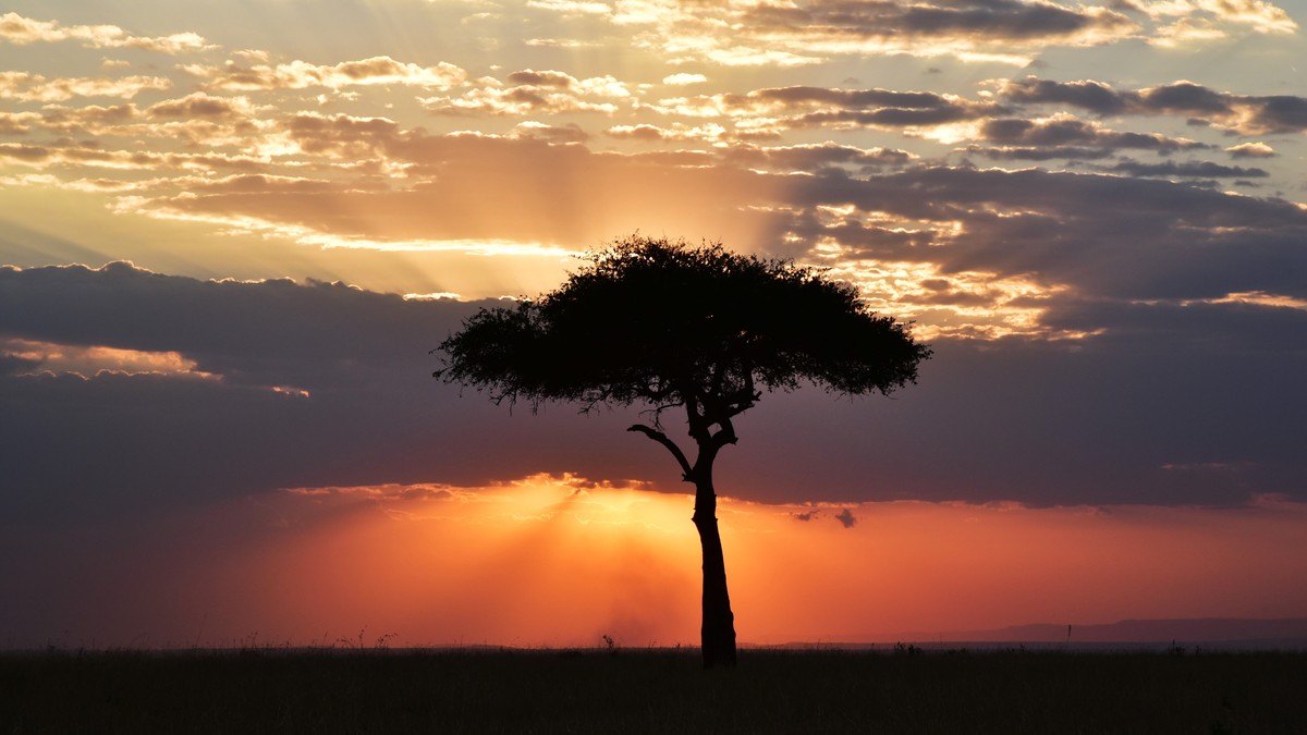 Daily Backpacking Budget Kenya Travel: Real 2026 Costs - photo 1