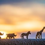 David Sheldrick Wildlife Trust Visit Guide (2026)