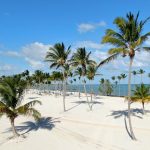 Diani Beach Safari Combination Trip: A Practical Guide