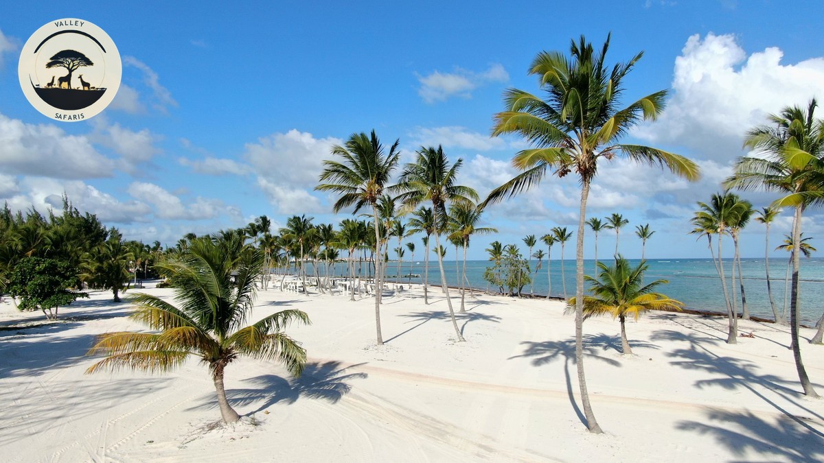 Diani Beach Safari Combination Trip: A Practical Guide