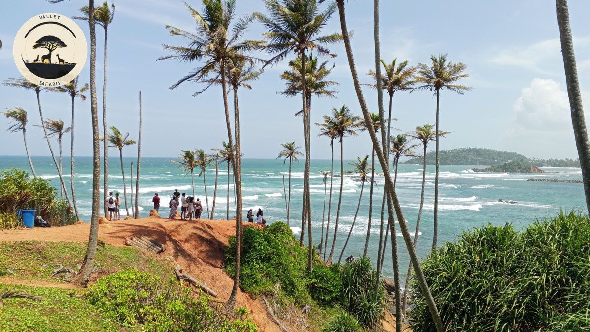 Diani Beach Safari Combination Trip: A Practical Guide - photo 1