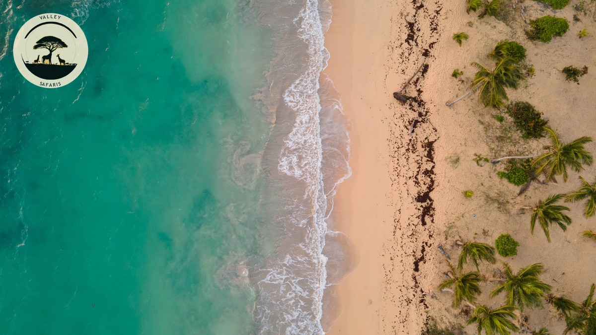 Diani Beach Safari Combination Trip: A Practical Guide - photo 2