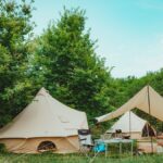 Digital Detox Safari Camps With No WiFi in Kenya