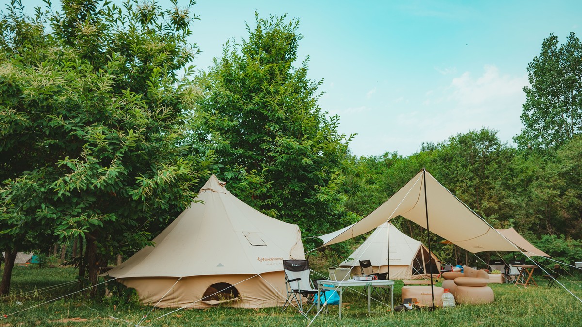 Digital Detox Safari Camps With No WiFi in Kenya