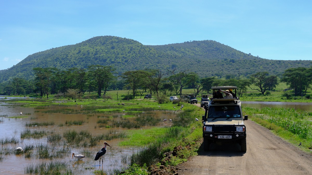 Kenya Safari Cost for a Family of Four (2026 Guide) - photo 1