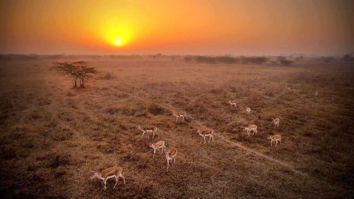 First Kenya Safari Mistakes to Avoid: Top 10 Tips - photo 1