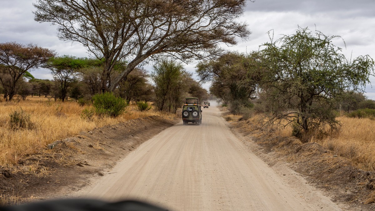 First Kenya Safari Mistakes to Avoid: Top 10 Tips - photo 2