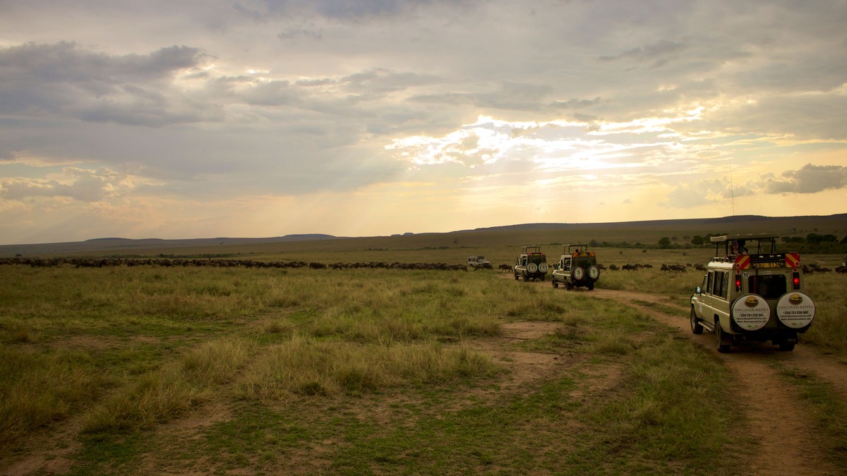 Flying Doctors: Medical Evacuation on a Kenya Safari - photo 2