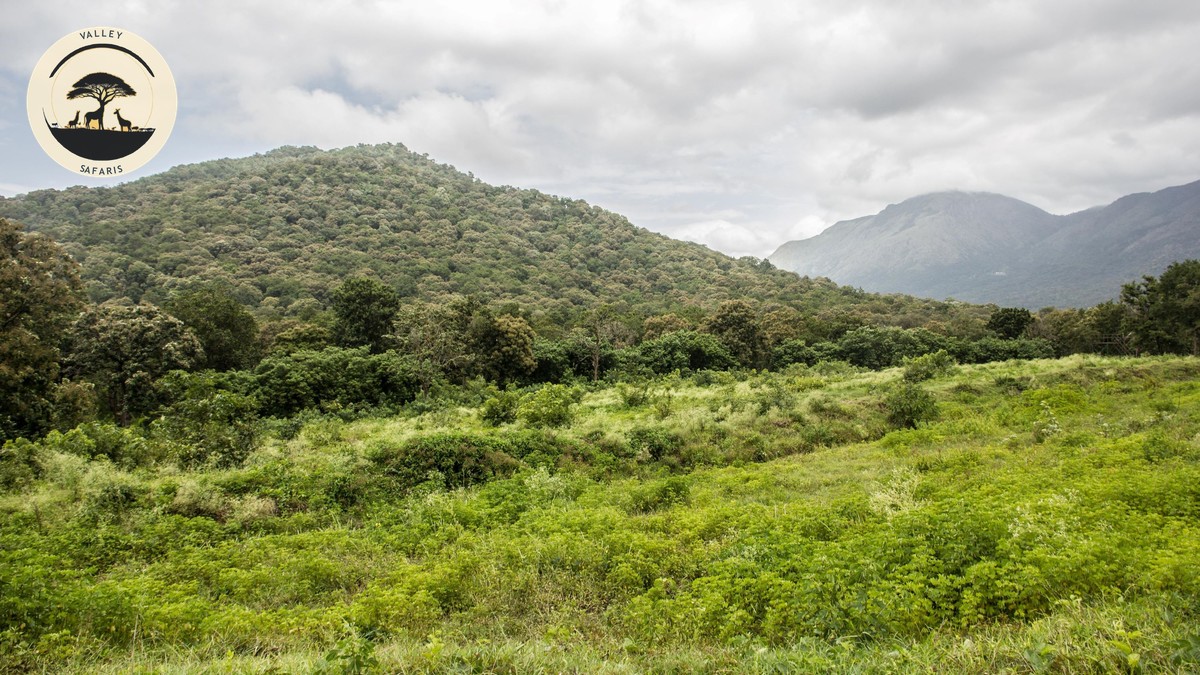 Green Season Safari Kenya: The Real Benefits - photo 1