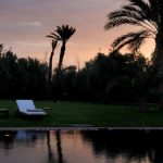 Halal Food Safari Lodges Kenya: A Real Guide