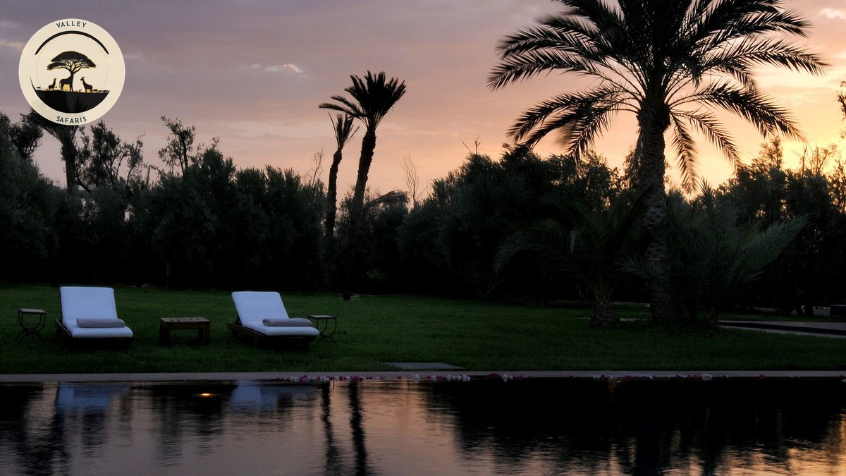 Halal Food Safari Lodges Kenya: A Real Guide