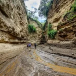Hell's Gate National Park Hell's Gate National Park, located near Lake Naivasha in the Great Rift Valley, is one of the few parks in Kenya where visitors can walk, cycle, or hike among free-roaming wildlife without a vehicle. Its dramatic gorges, towering cliffs, and geothermal features make it a favorite for adventure travelers. The park is famous for its striking landscape of red sandstone cliffs and the iconic Fischer's Tower, a volcanic rock column that reportedly inspired scenes in Disney's 'The Lion King.' Visitors can spot zebra, giraffe, eland, buffalo, and various antelope species while exploring on foot or by bicycle. A standout activity is the guided hike through Hell's Gate Gorge, which leads to natural geothermal hot springs and steam vents — a reminder of the park's volcanic origins and its connection to the nearby Olkaria Geothermal Power Station. Hell's Gate is also popular with rock climbers and is often combined with a visit to Lake Naivasha for boat rides and birdwatching, offering an action-packed day out from Nairobi. Ready to experience Hell's Gate National Park for yourself? book your safari with Valley Safaris today. Need help customizing this part of your itinerary? contact our travel experts.