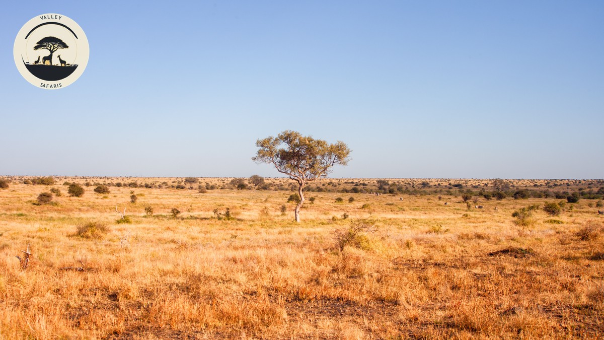 Hell's Gate National Park Cycling Guide (2026 Fees) - photo 1