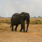 Hell's Gate National Park Guide: Cycling & Walking Safari