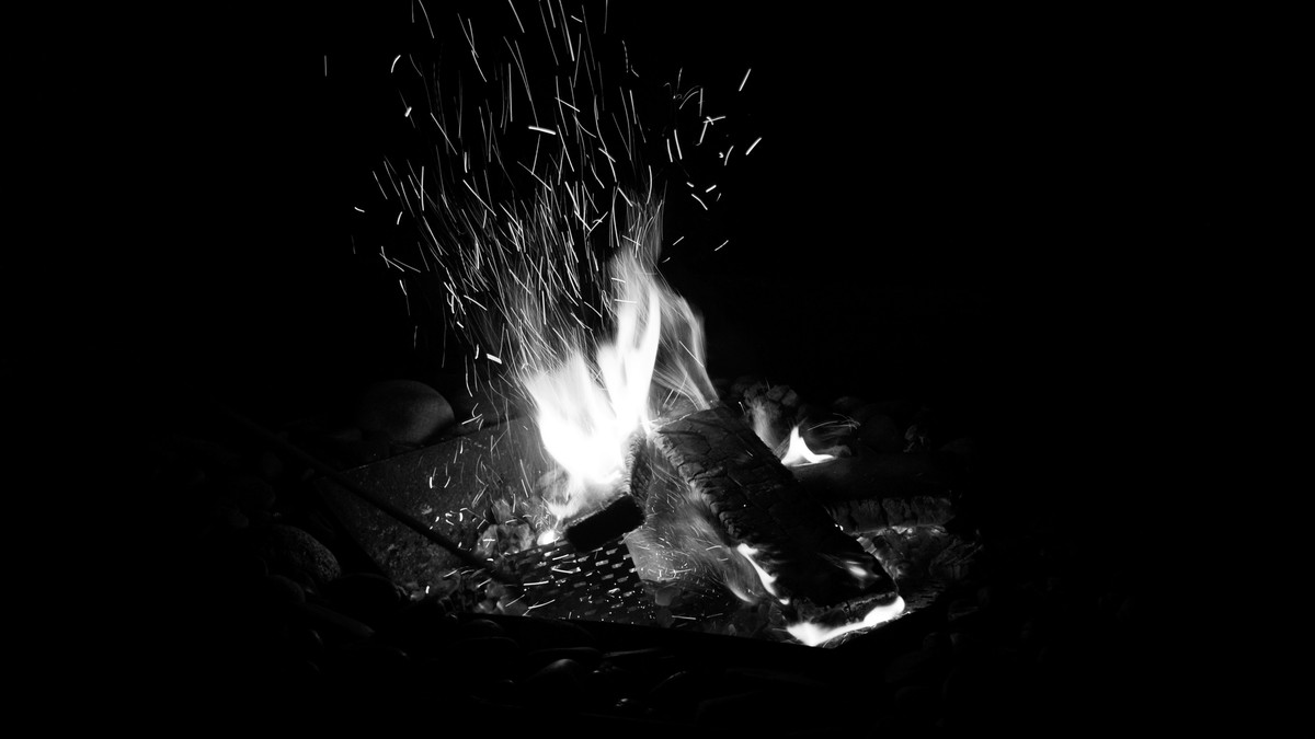 Hippo Noises Safari Tent Night: What's Making That Sound? - photo 1