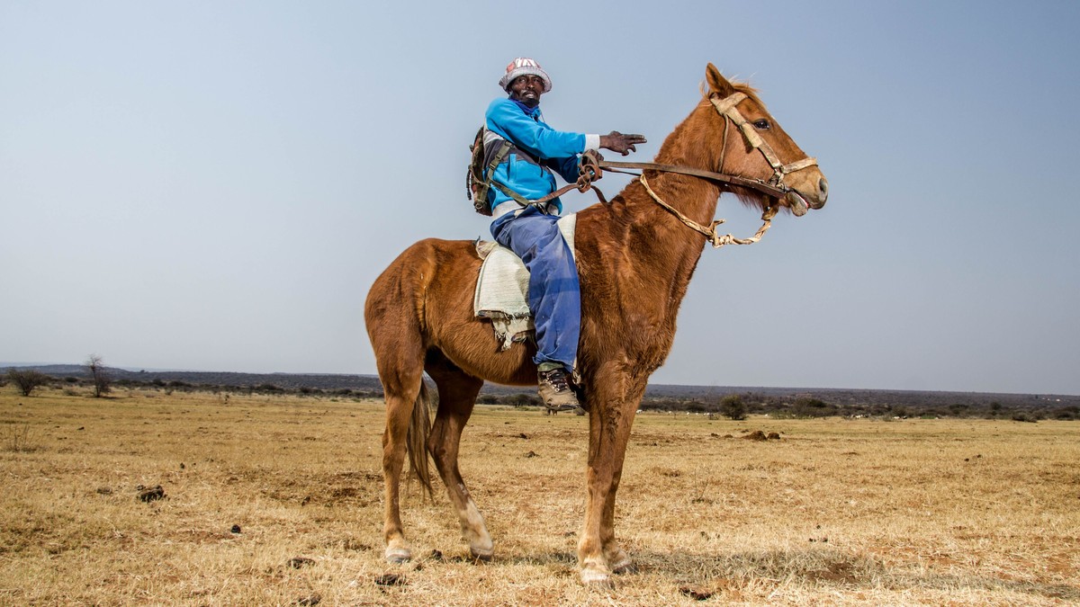 Horseback Riding Safari Laikipia Kenya: Full Guide - photo 1