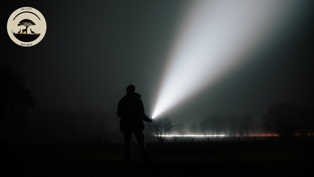 How Cold Are Safari Nights in Kenya? Real Numbers