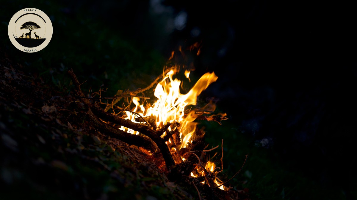 How Cold Are Safari Nights in Kenya? Real Numbers - photo 1