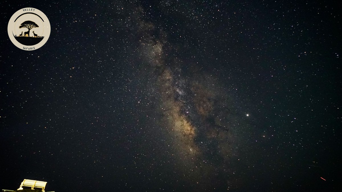 How Cold Are Safari Nights in Kenya? Real Numbers - photo 2