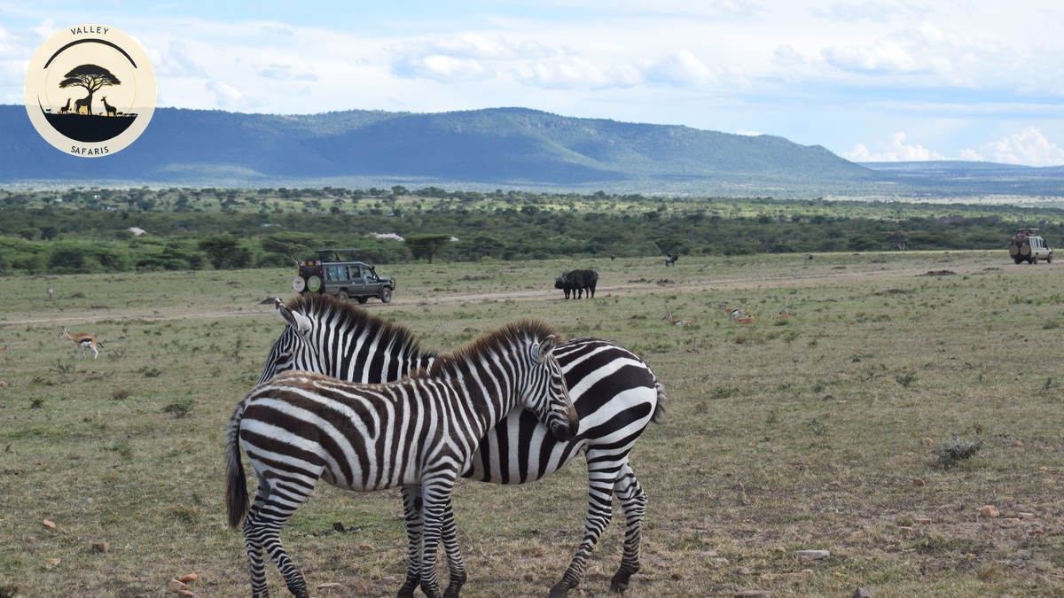 How Far in Advance Should You Book a Kenya Safari - photo 2