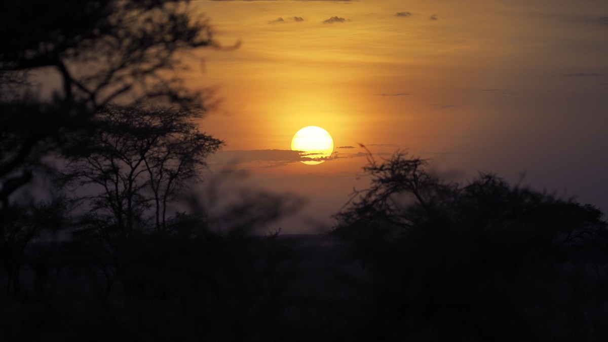 How Far in Advance to Book a Kenya Safari? - photo 1